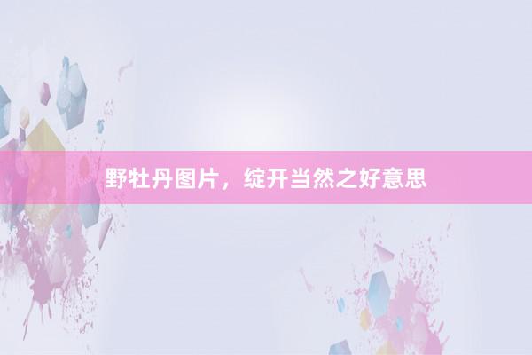 野牡丹图片，绽开当然之好意思