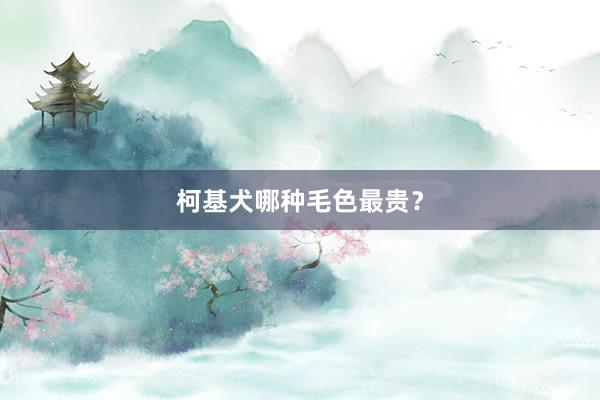 柯基犬哪种毛色最贵？